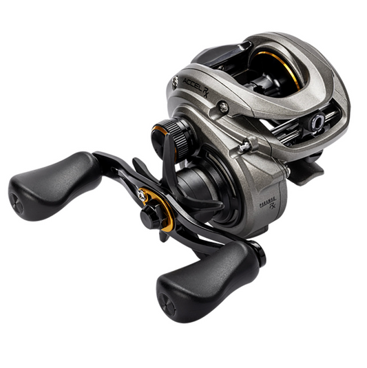 Lew's Accel RX Casting Reel