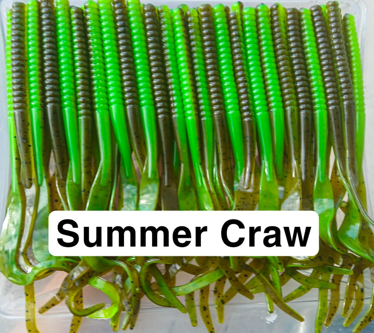 10" Curly Tail Worm